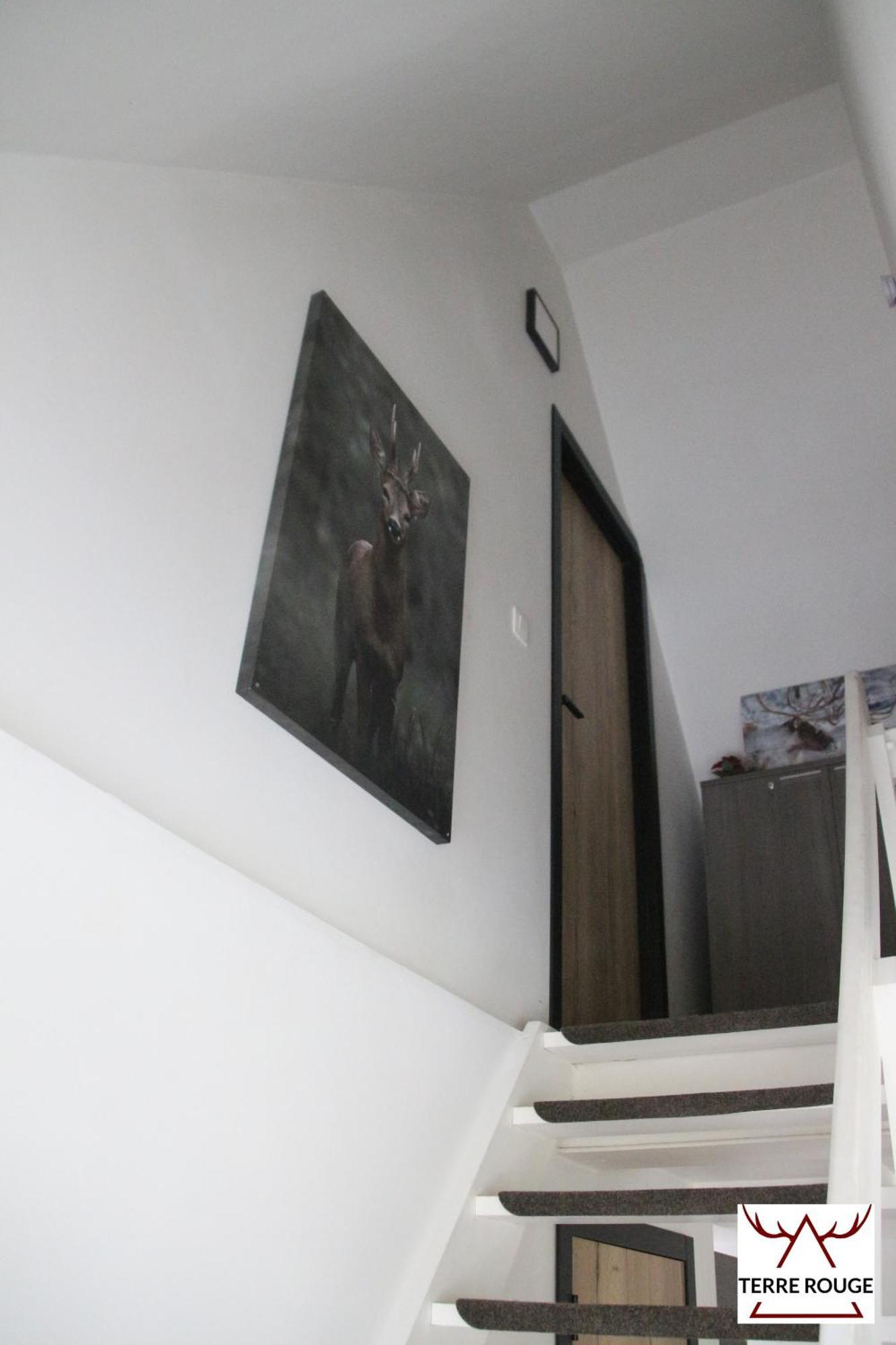 Chalet Terre Rouge - Terrasses De 40 Malmedy